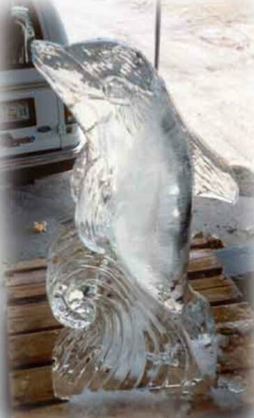 Ice Dolphin